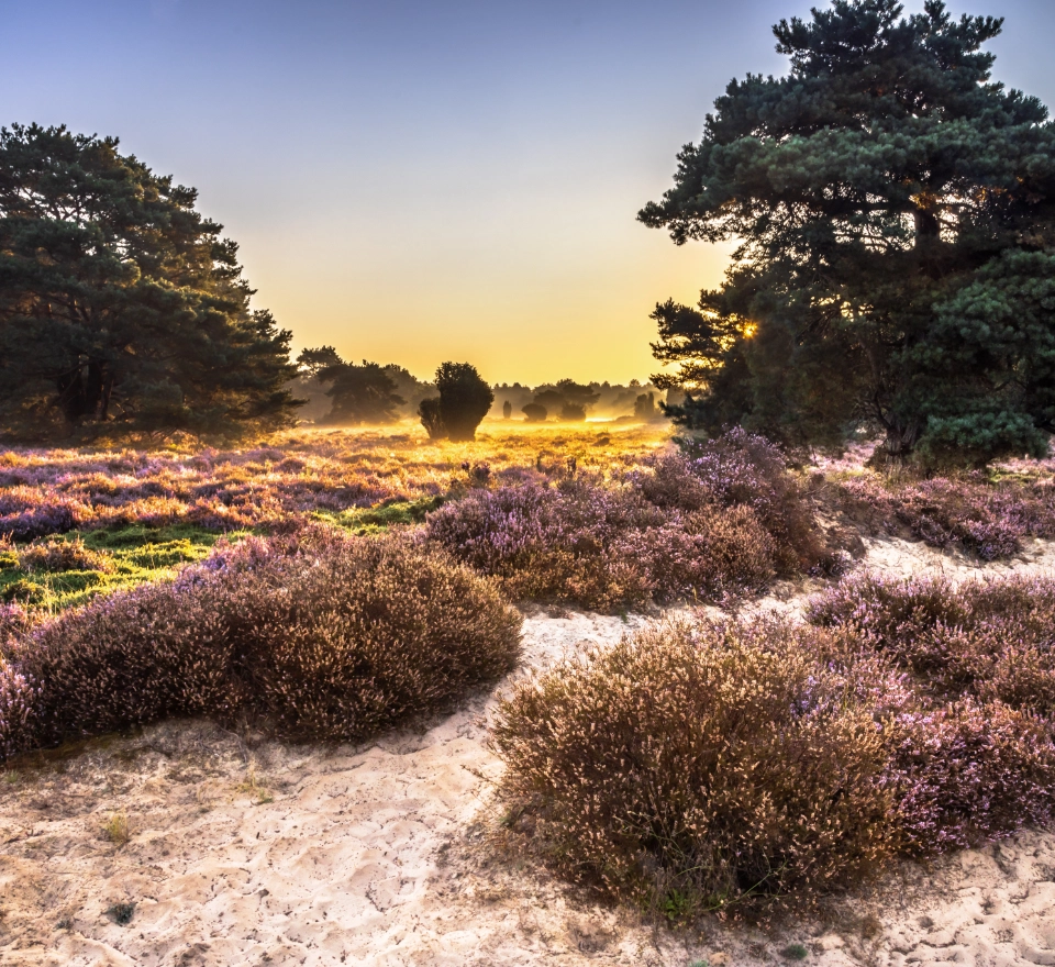 Omgevingsmanagement Delteau