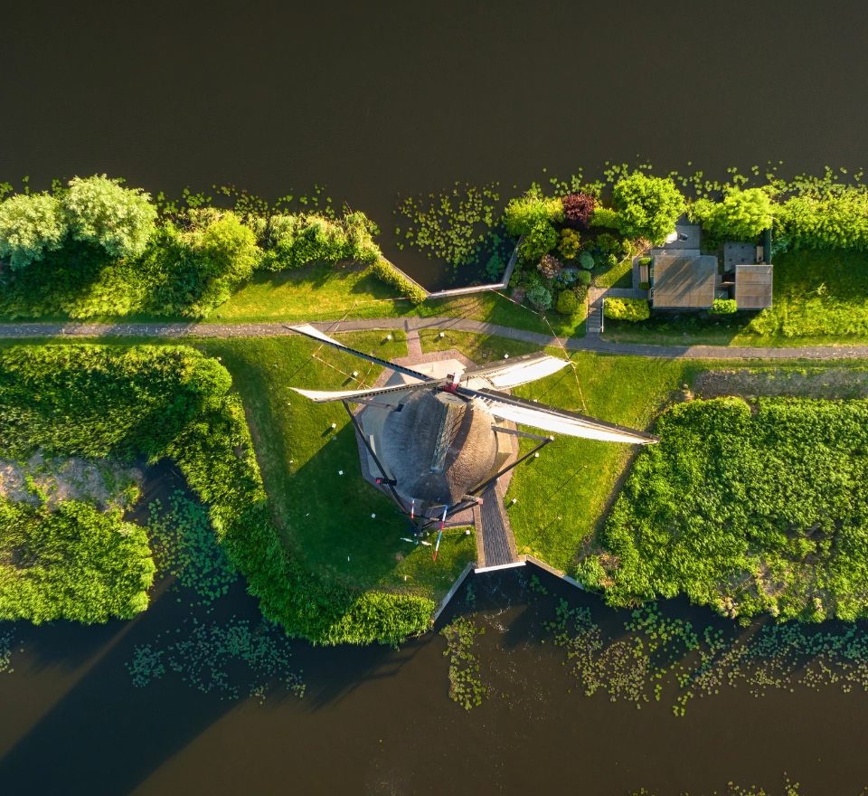 Programma- en projectmanagement Delteau