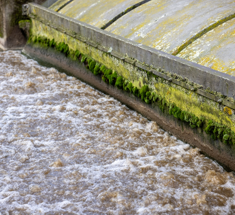Waterschap Brabantse Delta x Delteau