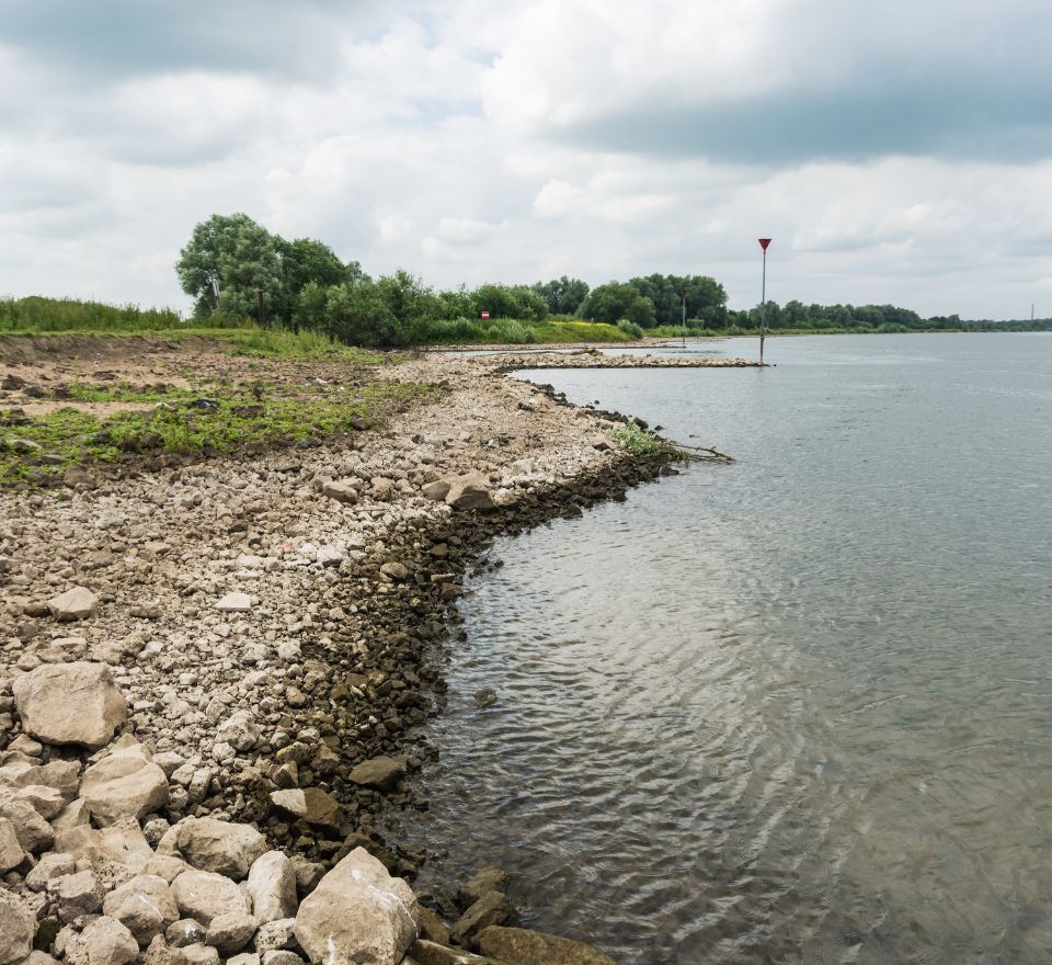 Rijkswaterstaat Oost Nederland, Rivierhout aan de IJssel, Delteau