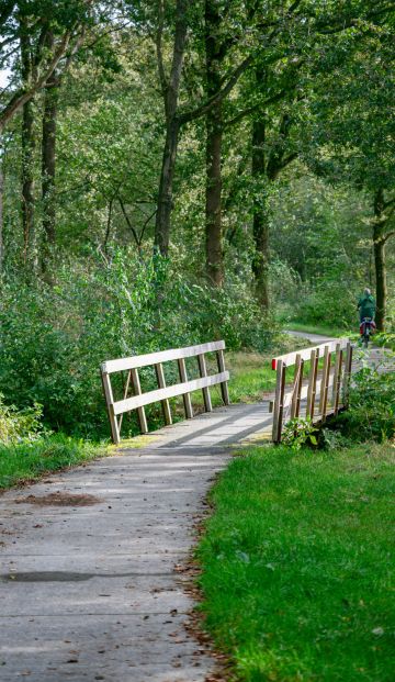 Delteau x Gemeente Amsterdam